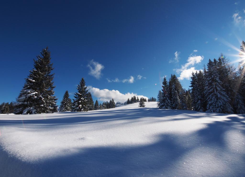 Alpenapartments Unterschlag Annaberg im Lammertal Luaran gambar