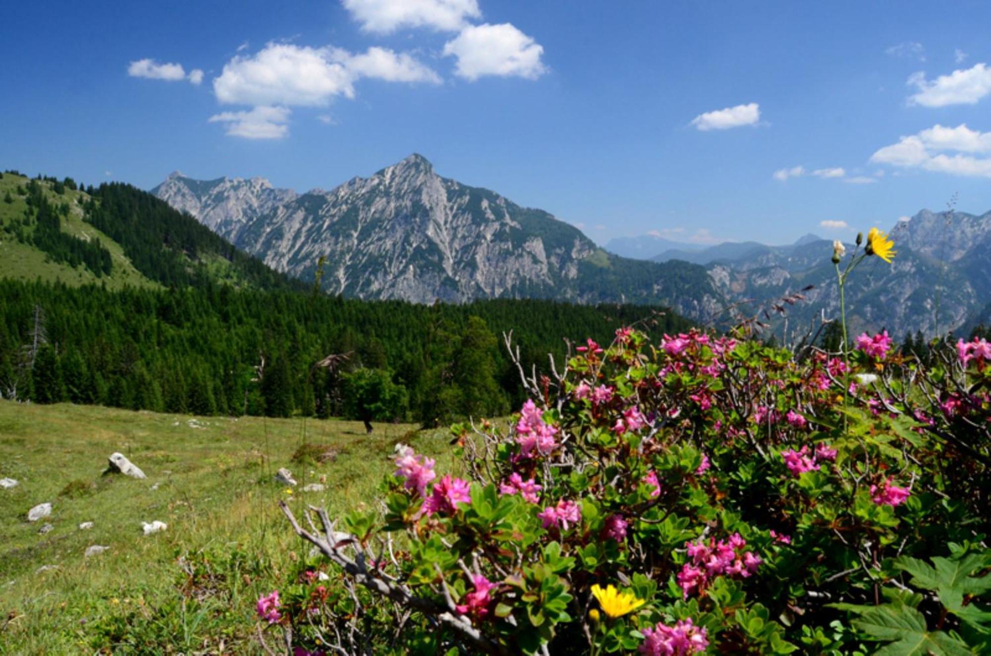 Alpenapartments Unterschlag Annaberg im Lammertal Luaran gambar
